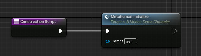 MetaHuman initialization calls