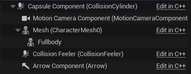 Motion character mesh setup